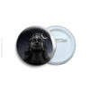 Adiyogi Pin Badge & Magnet